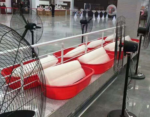 香蕉视频成人冰块案例