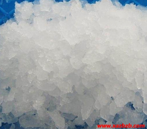 香蕉视频APP免费在线观看厂家