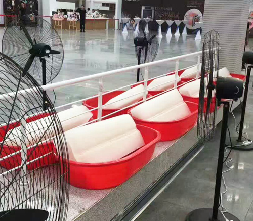 西安香蕉视频成人冰块 西安香蕉视频成人冰块